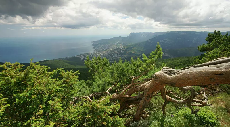 В Крыму открыли новый автомаршрут по ущелью Уч-Кош